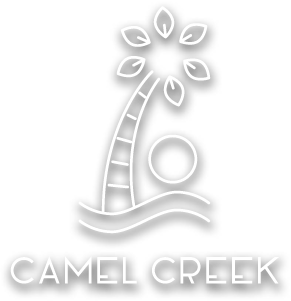 Camel Creek